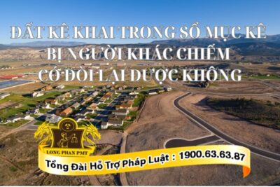 Đất kê khai trong sổ mục kê bị người khác chiếm