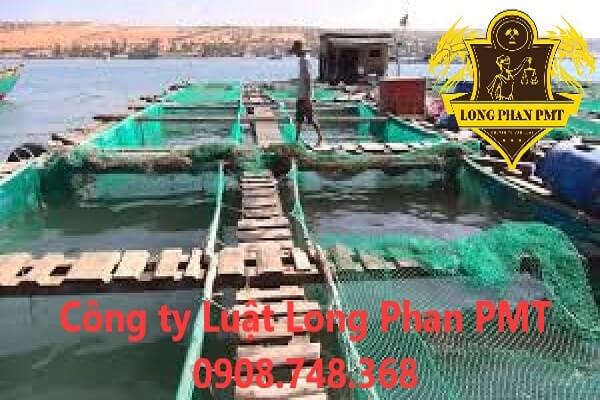 Hình ảnh Hướng dẫn giải quyết tranh chấp thừa kế bè nuôi cá của Công ty Luật Long Phan PMT.