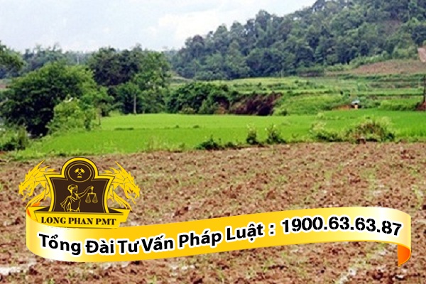 Hình ảnh Quy định pháp luật về đền bù khi thu hồi đất nông nghiệp của Công ty Luật Long Phan PMT