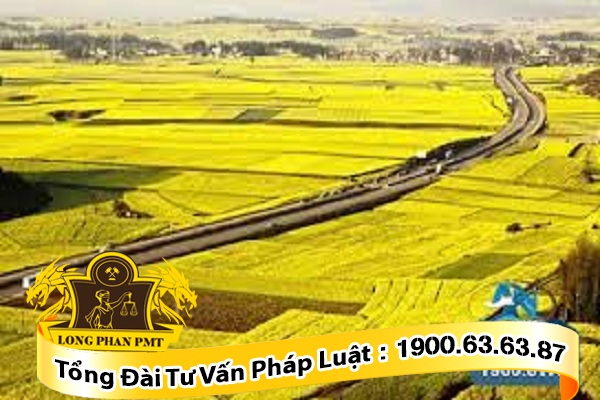 Hình ảnh về Tư vấn về đền bù khi thu hồi đất nông nghiệp của Công ty Luật Long Phan PMT.