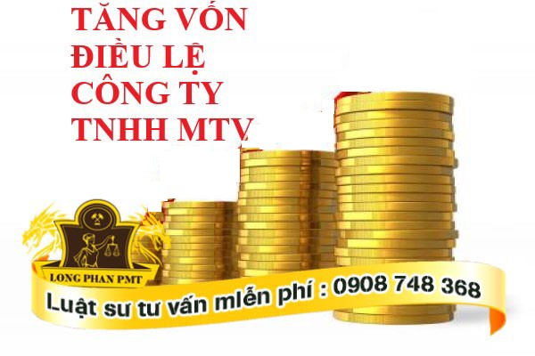 Cach tang von dieu le trong cong ty trach nhiem huu han mot thanh vien