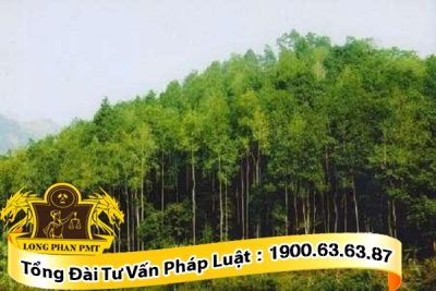 Giải quyết tranh chấp đất rừng, đất nông nghiệp theo quy định pháp luật