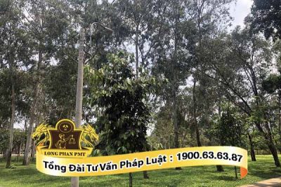 tranh chap hop dong dat coc