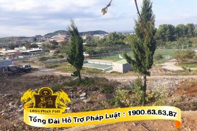 Người nước ngoài gửi tiền nhờ người Việt mua đất và đứng tên hộ.