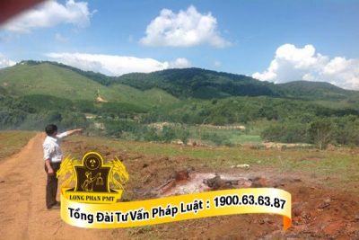 Quy dinh ve hop dong dat coc mua dat