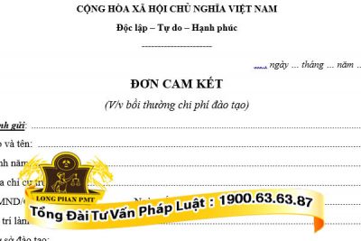huong dan viet don boi thuong chi phi dao tao