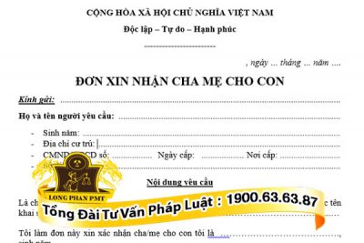 huong dan viet don xin nhan cha me cho con