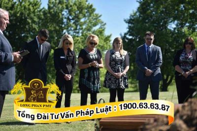 don yeu cau boi thuong do tinh mang xam pham