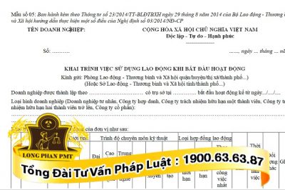 huong dan mau khai trinh lao dong