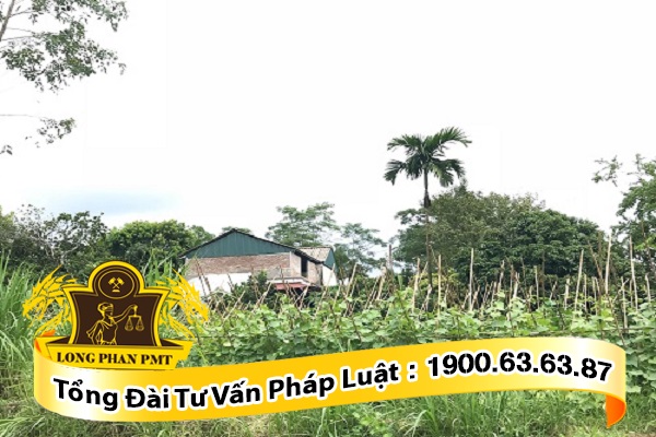 nhan tang cho quyen su dung dat