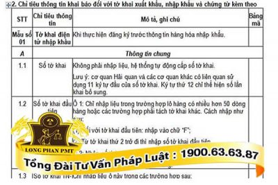 Chi tieu thong tin trong to khai hai quan