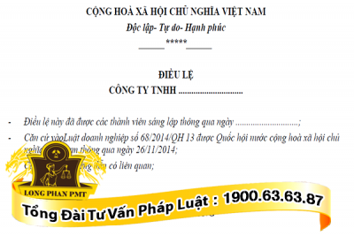 soan thao dieu le cong ty trach nhiem huu han mot thanh vien