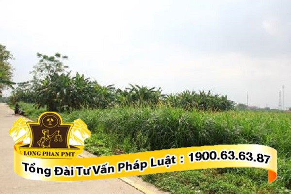 thu tuc mua ban nha dat