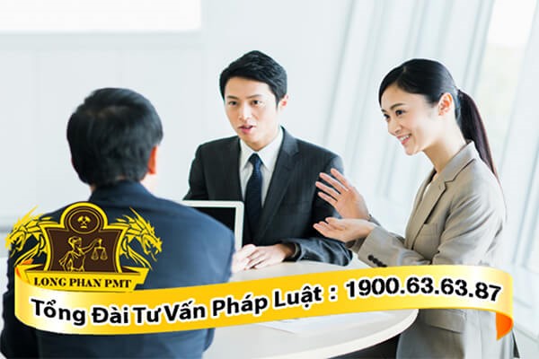 dich vu tu van tai long phan pmt