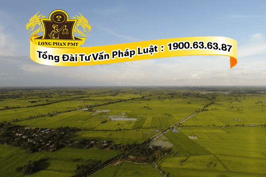 tranh chap nha dat