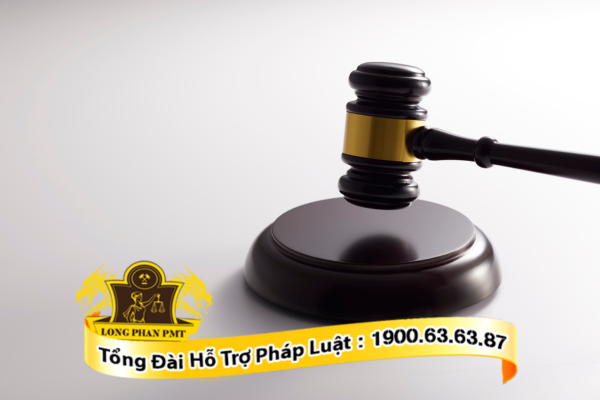 Dịch vụ luật sư tư vấn khởi kiện đất khai hoang bị lấn chiếm