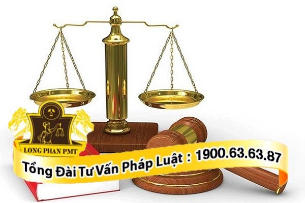 dich-vu-luat-su
