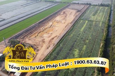 quy dinh cua phap luat ve hanh vi su dung dat trong lua