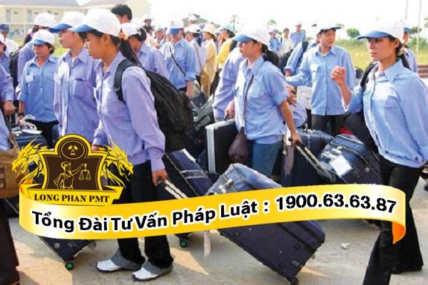bị lừa tiền đi xuất khẩu lao động