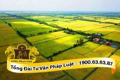 dat nong nghiep nguoi di nuoc ngoai giao lai