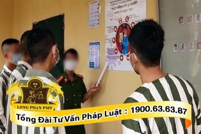 co y tong co la giet nguoi