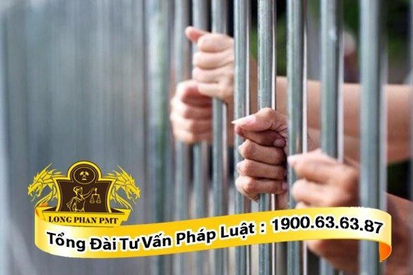 05 trường hợp được phép bắt người