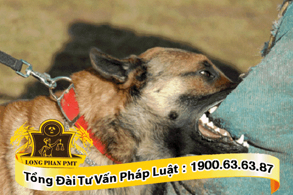 gây thiệt hại về vật chất 