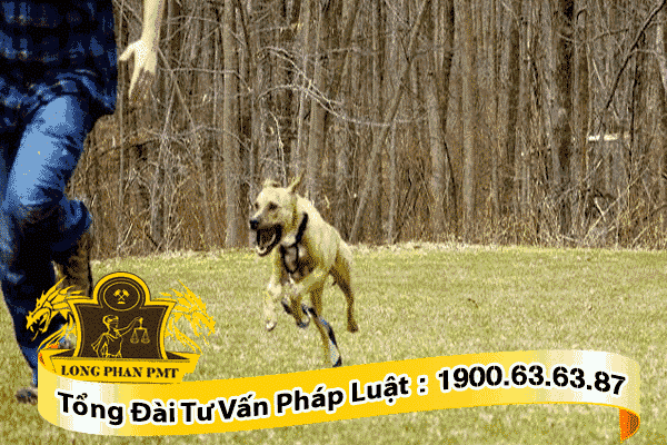 trách nhiệm bồi thường thiệt hại