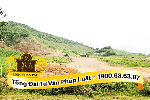 đất nương rẫy bỏ lâu tranh chấp có đòi lại được không