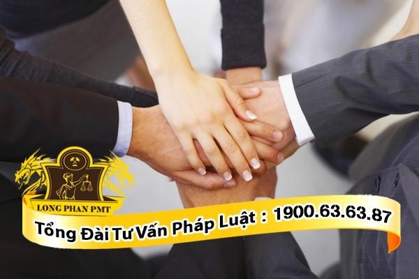 tư cách thành viên công ty tnhh