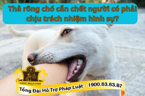 Trách nhiệm hình sự thả rong chó cắn chết người