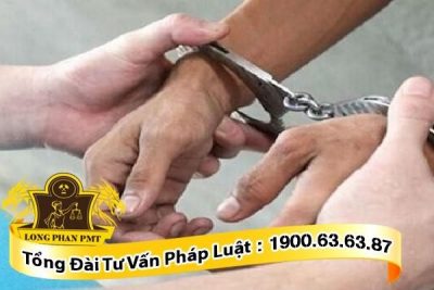 Căn cứ khởi tố tội không tố giác tội phạm