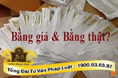 Quy định pháp luật đối với hành vi làm giả bằng lái xe