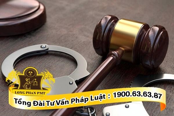 luật sư tư vấn hành vi làm lây lan covid