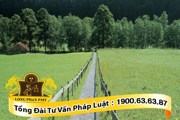 chấm dứt quyền với bất động sản liền kề