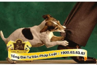 bồi thường thiệt hại khi bị vật nuôi cắn