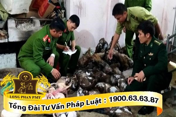 hình phạt đối với tội vận chuyển động vật quý hiếm