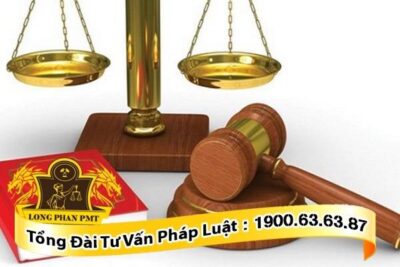 Quyền thực hiện yêu cầu phản tố