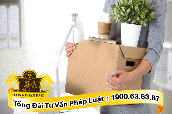 các trường hợp không bị sa thải