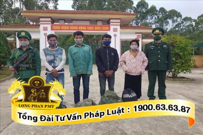 Đưa người nhập cảnh trái phép phạm tội gì?