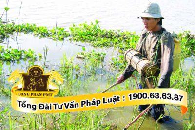 Đánh bắt cá bằng điện là hành vi vi phạm pháp luật