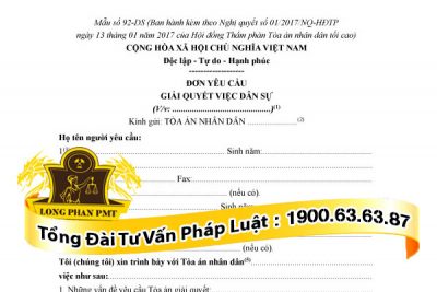 Mẫu đơn yêu cầu tuyên bố một người mất năng lực hành vi dân sự