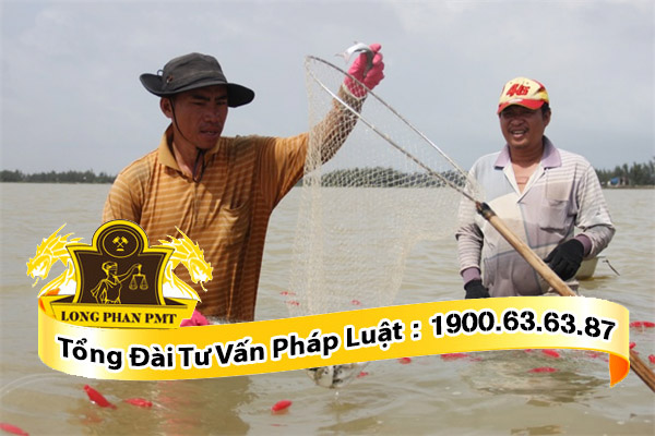 Nhiều hệ lụy hơn phương pháp đánh lưới truyền thống