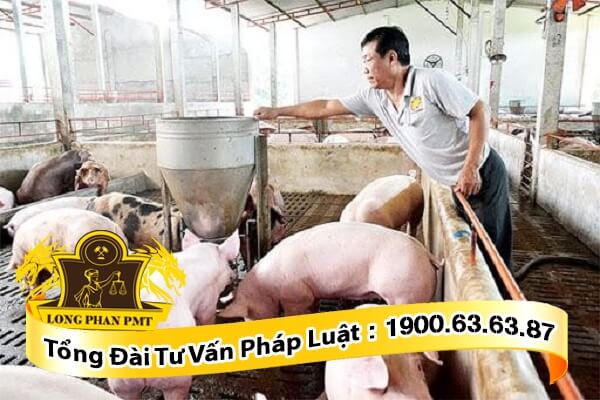 Quy định xử phạt vi phạm hành chính trong lĩnh vực chăn nuôi