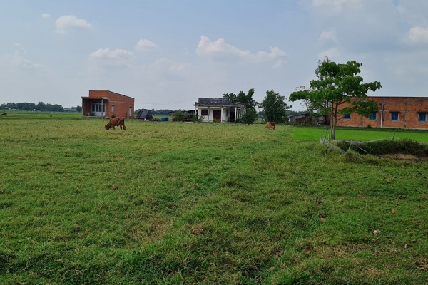 đất bị thu hồi để xây dựng công trình trạm biến áp 500kv tại Đức Hòa