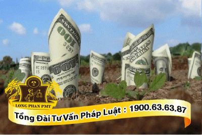 Nhận kêu gọi ủy thác với cam kết lợi nhuận khủng