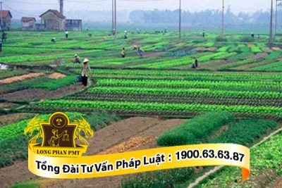 cac-buoc-ghi-no-tien-su-dung-dat-cua-ho-gia-dinh-ca-nhan