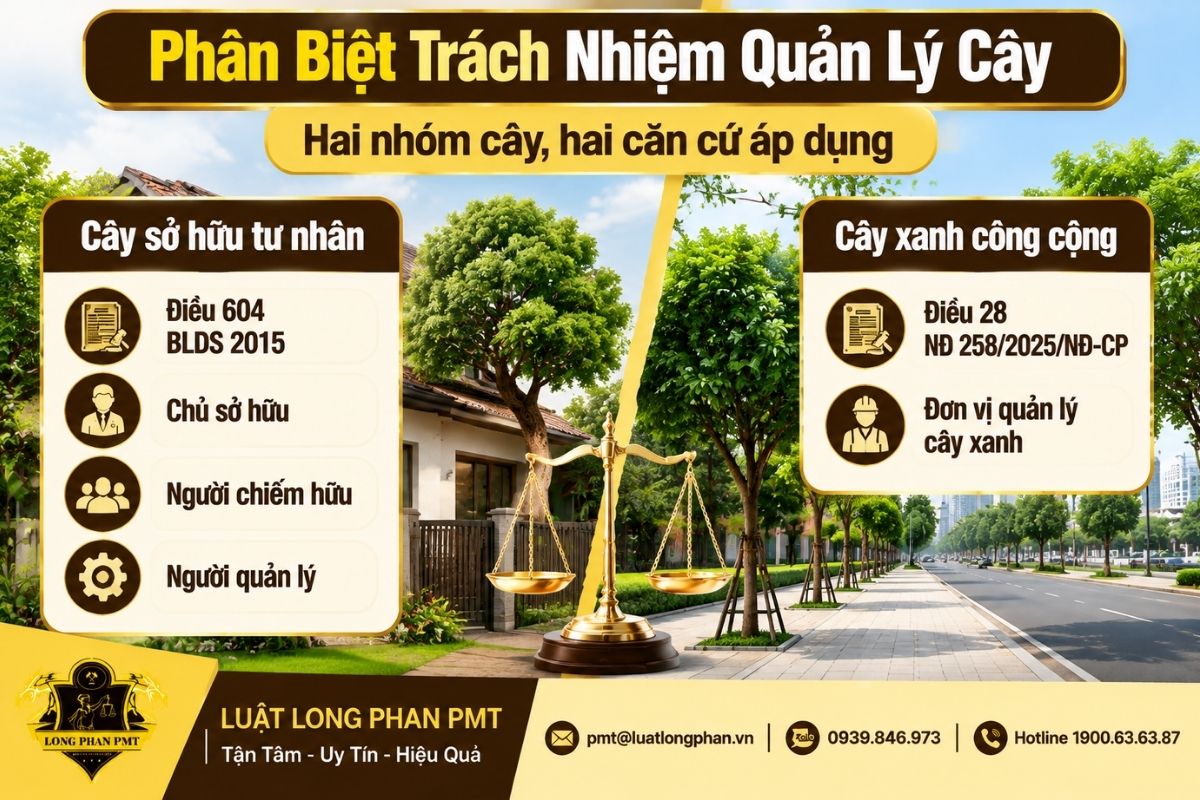  Trách nhiệm bồi thường do cây cối gây ra và chủ thể quản lý cây.