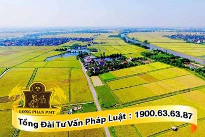 Đất nông nghiệp