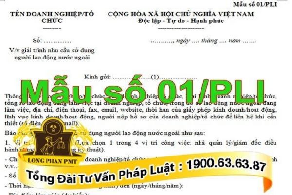 Mẫu số 01/PLI